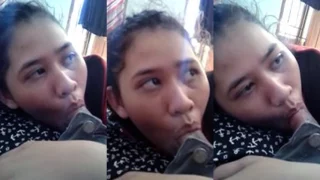 Disepong Ayang Hari Minggu Ceweknya Bilang Malu
